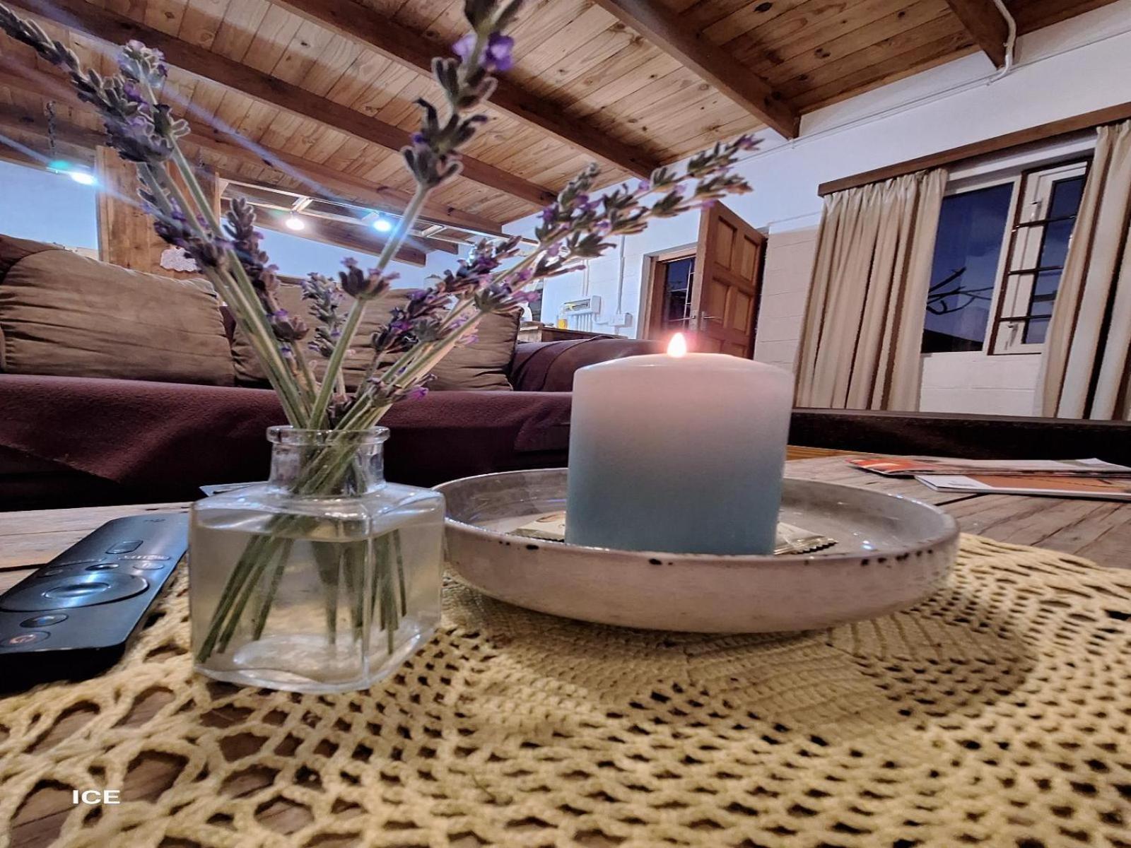 Wild Eden Self-Catering Accommodation Свакопмунд Номер фото